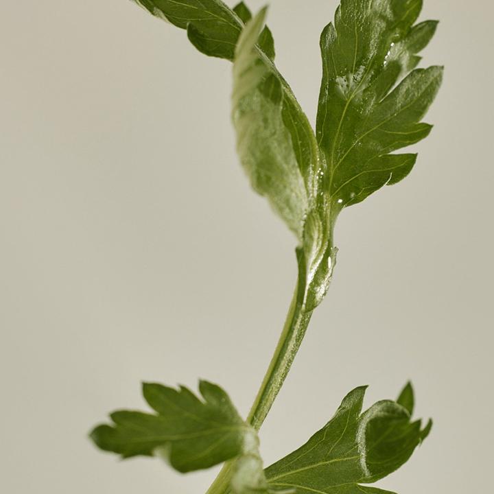 Immagine prodotto Beauty of Joseon Matte sun stick : Mugwort + Camelia (Stick solare, Crema solare viso, SPF 50+, 18 ml, 18 g)