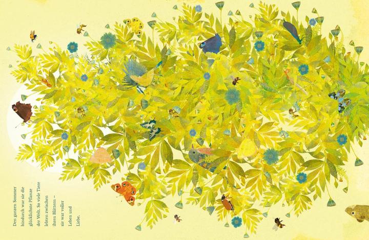 Produktbild Der kleine Spross (Deutsch, Britta Teckentrup, 2020)