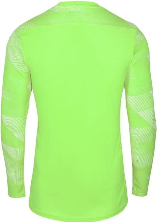 Image du produit Nike Dri-Fit Park 4 Goalkeeper Volt/White/Black L (L)