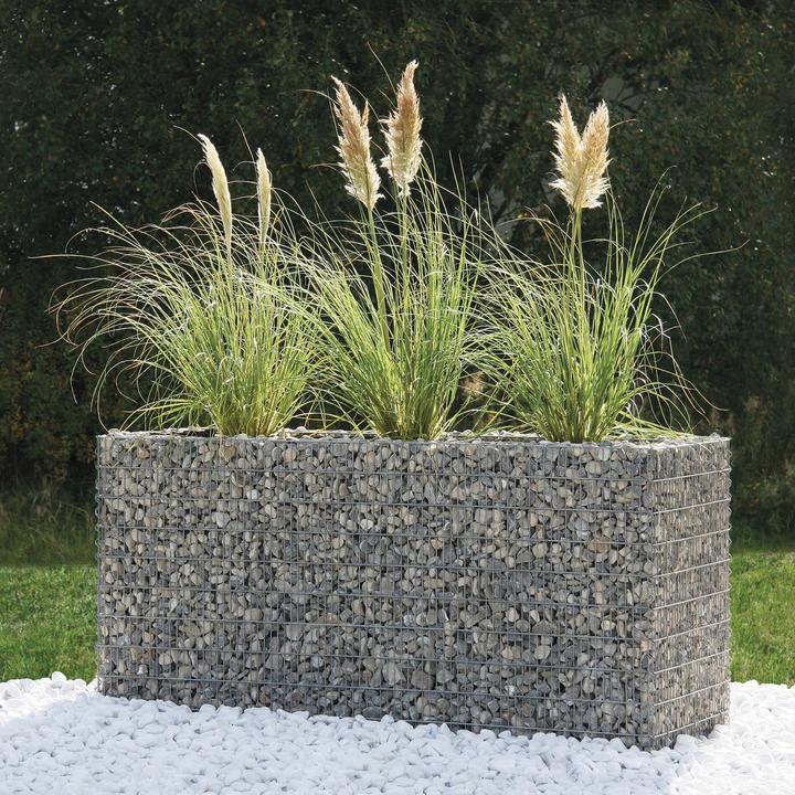 Actual product image Bellissa Premium