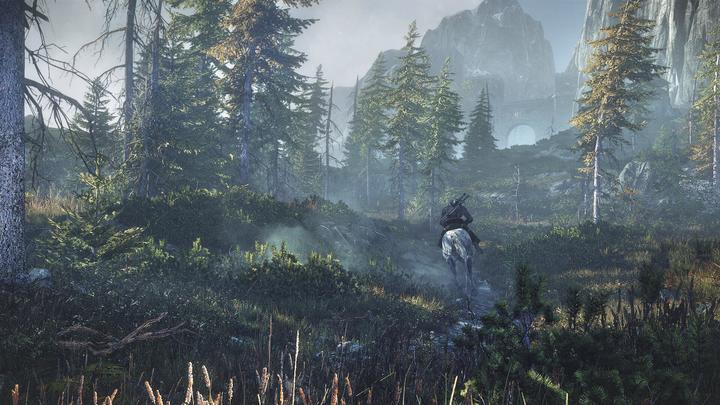 Image du produit The Witcher 3 : Wild Hunt