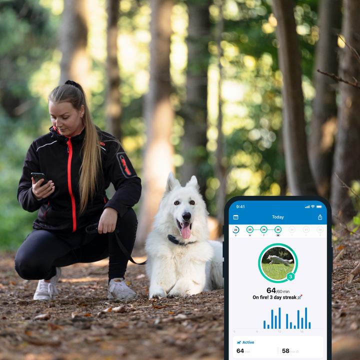 Productafbeelding Tractive Dog 4 GPS Tracker voor honden (Kat, Hond, Loop)