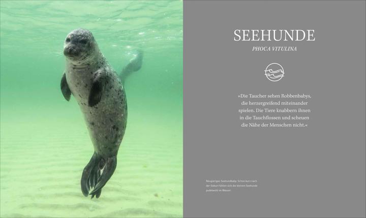 Produktbild Unsere Meere – Naturwunder Nord- und Ostsee (Deutsch, Thomas Behrend, Martina Andrés, 2023)