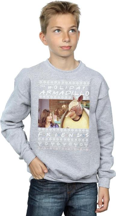 Actual product image Friends Boys Fair Isle Holiday Armadillo Sweatshirt (152, 158)
