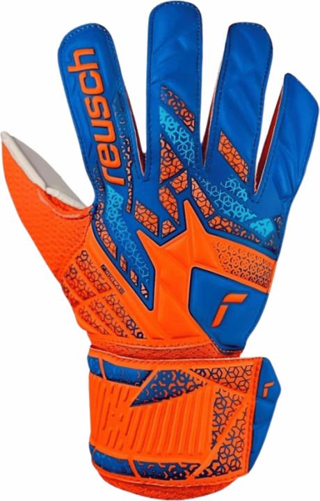 Image du produit Reusch Attrakt Solid (8)