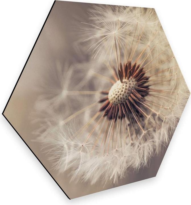 Immagine prodotto Trenddeko Delgado - Dente di Leone (35 x 30 cm)