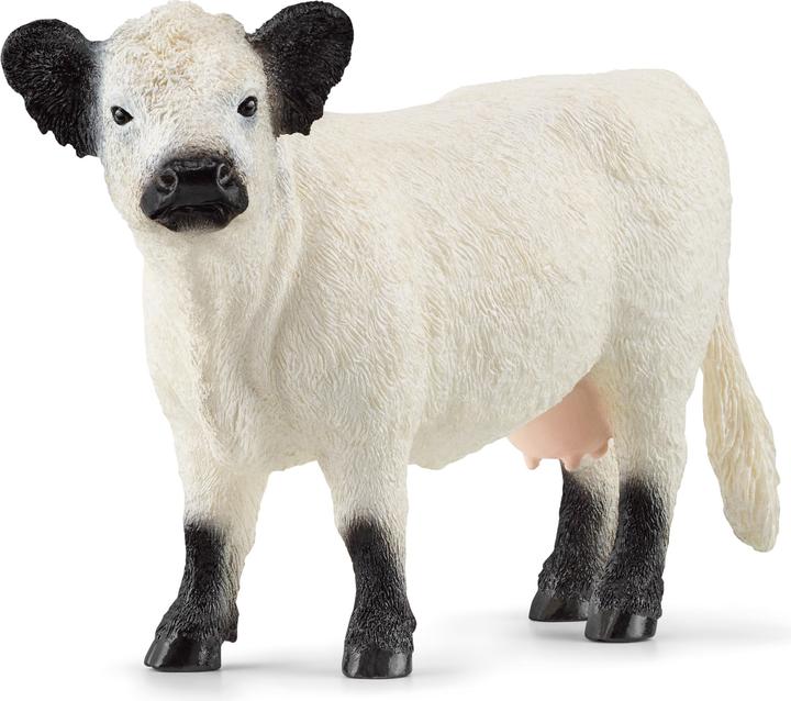 Produktbild Schleich Galloway Kuh