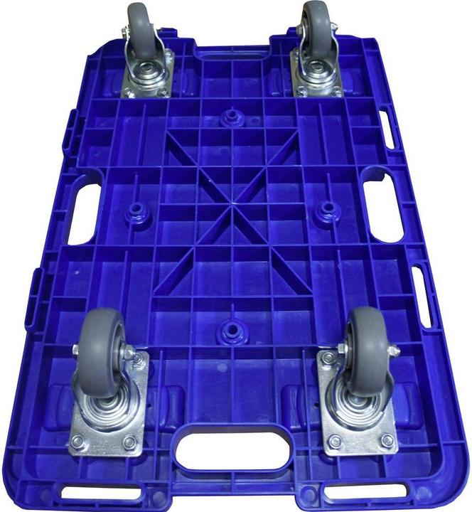 Actual product image Viso Transport roller plastic (150 kg)