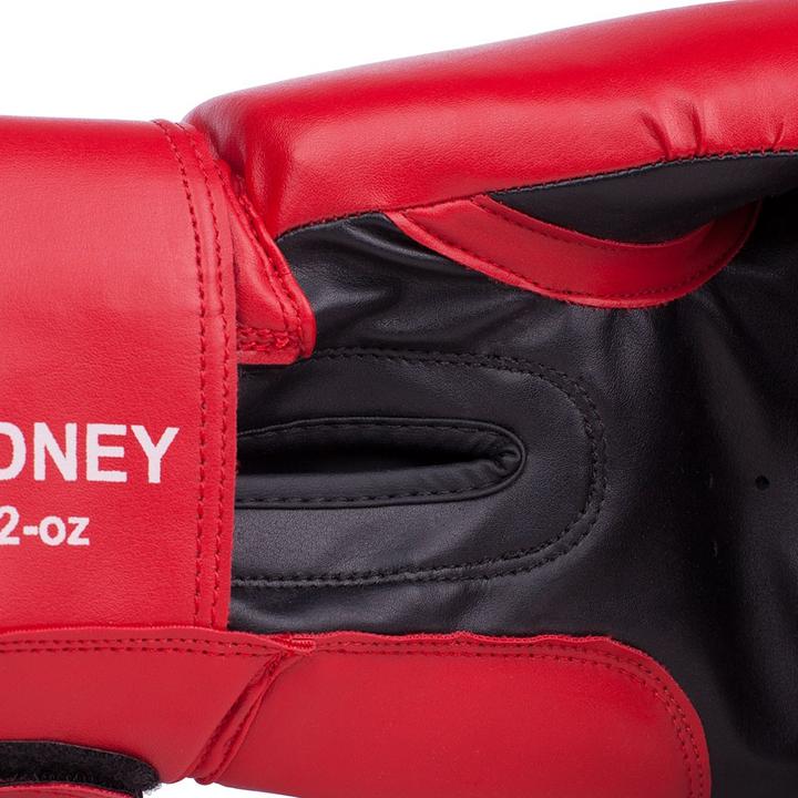 Immagine prodotto Benlee Guantoni da boxe rossi Rodney (14 OZ)