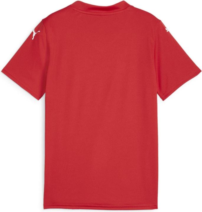 Produktbild Puma teamGLORY Jersey Jr (164)