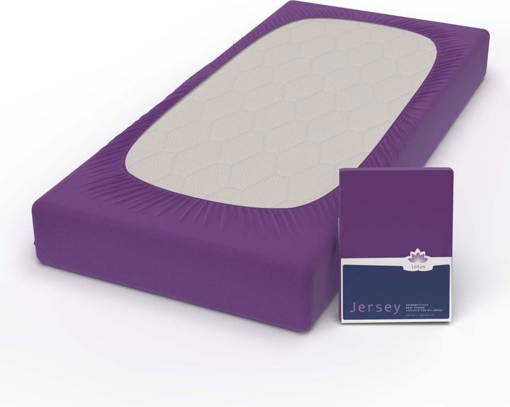 Image du produit Lotus Bettwaren Jersey Fix Comfort (140-160 x 200 cm)