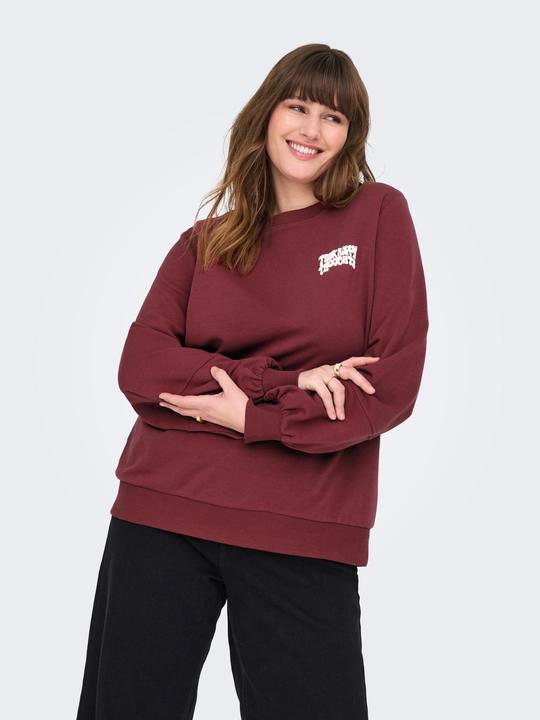 Produktbild Only CARKAVIRA Sweatshirt Sweatshirt (L)