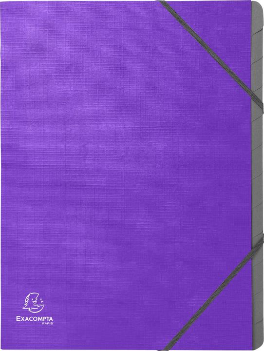 Image du produit Exacompta Trieurs (A4, 25 x)