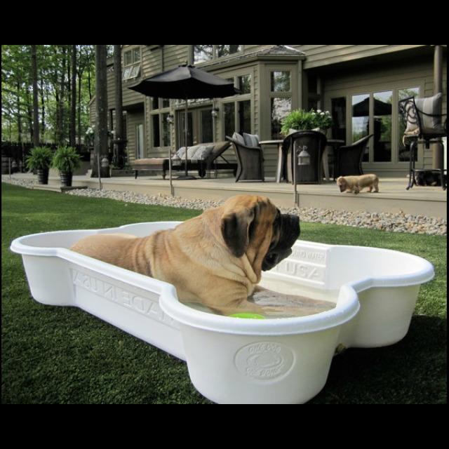 Image du produit Neogard Piscine pour chiens (Piscine pour chiens)