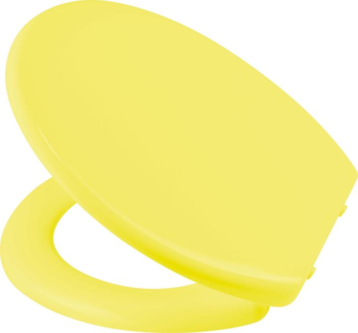 Actual product image Diaqua Colors