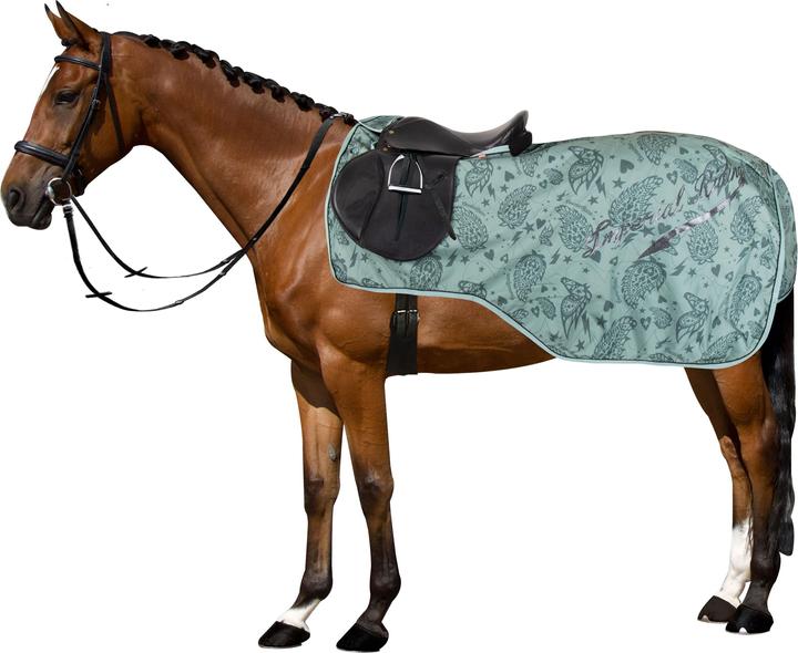 Produktbild Imperial Riding Ambient
