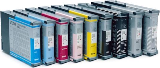 Immagine prodotto Epson T6021 (PBK)
