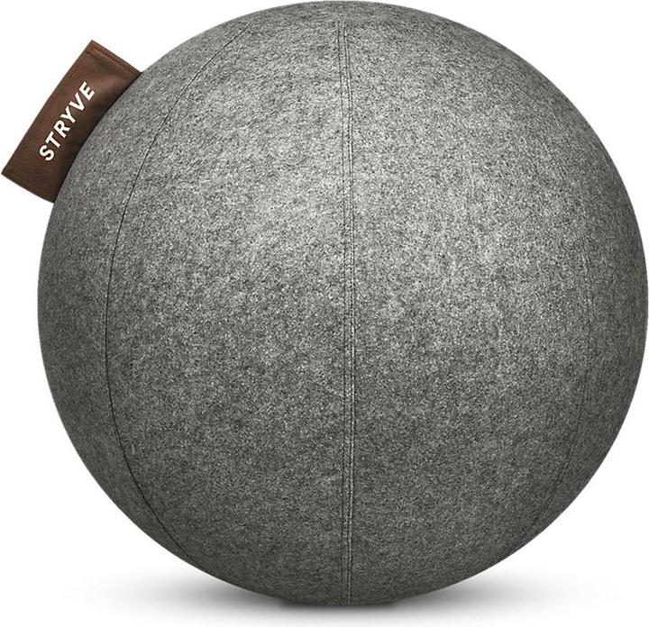 Actual product image Stryve Active 65 cm exercise ball (65 cm)