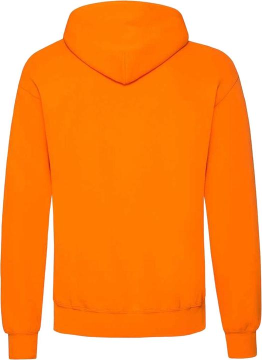 Actual product image Fruit of the Loom Unisex Adults Classic Hooded Sweatshirt (L)