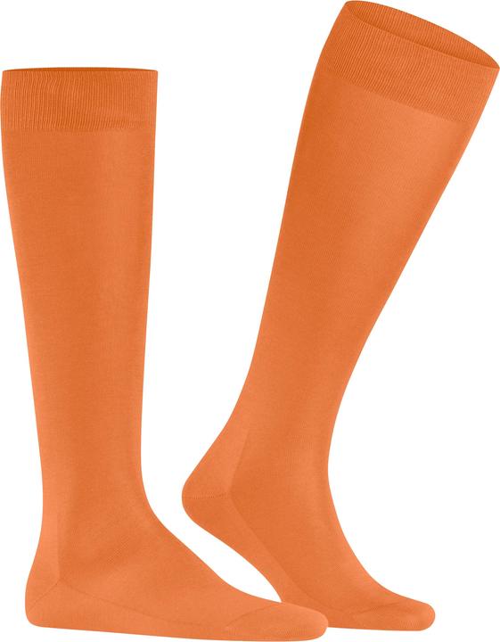 Immagine prodotto Falke Tiago Uomo (43 - 44)