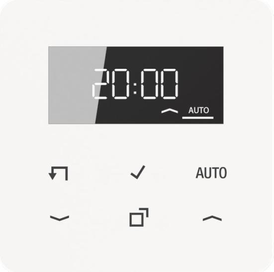 JUNG Timer Standard, Display CD 1750 D WW