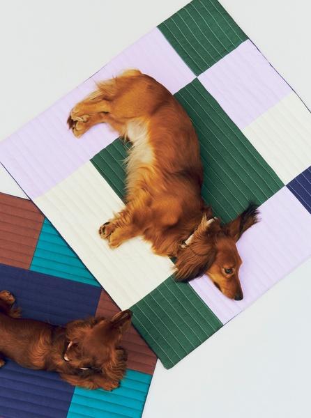 Immagine prodotto HAY - Quilted Dogs Travel Blanket 80 x 80 (Lavender, Green & Blue) (Cane)