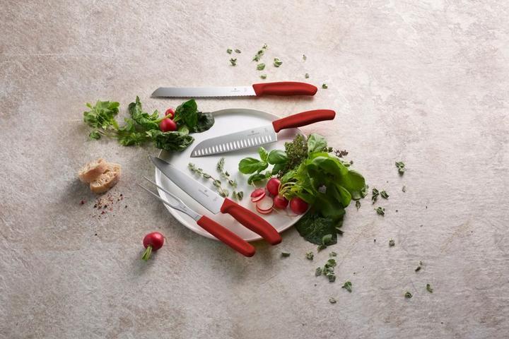 Immagine prodotto Victorinox Swiss Classic (19 cm)