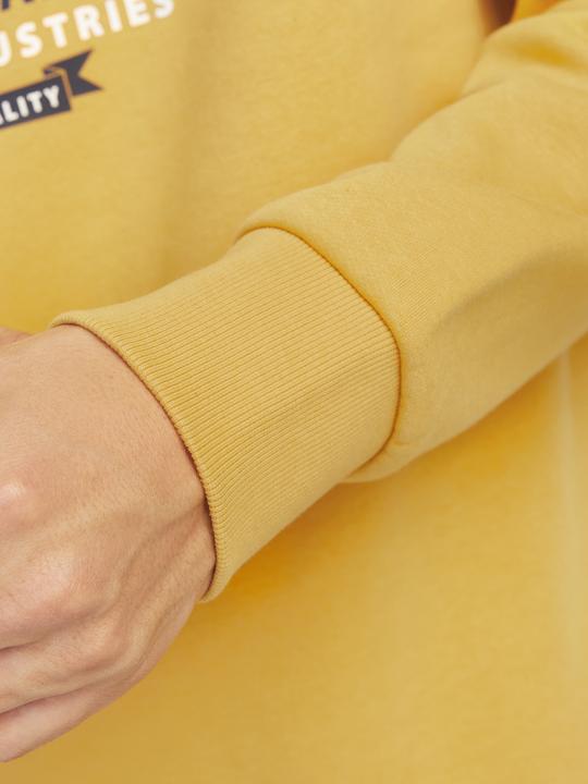 Actual product image Jack & Jones JJELOGO SWEAT HOOD 2 COL 24/25 NOOS (XXL)