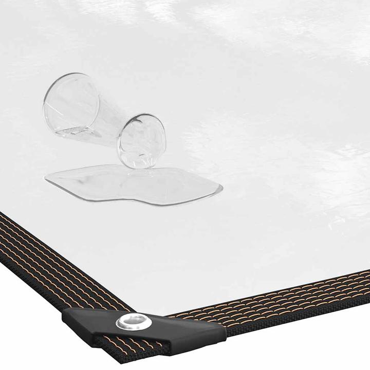 Actual product image VidaXL Transparent tarpaulin with eyelets 10x10 m polyethylene transparent tarpaulin (10 x 10 m)