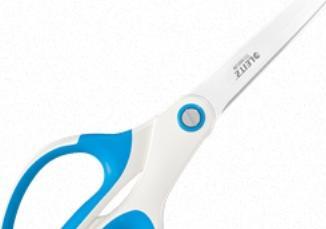 Image du produit Leitz WOW Titane (20.50 cm)