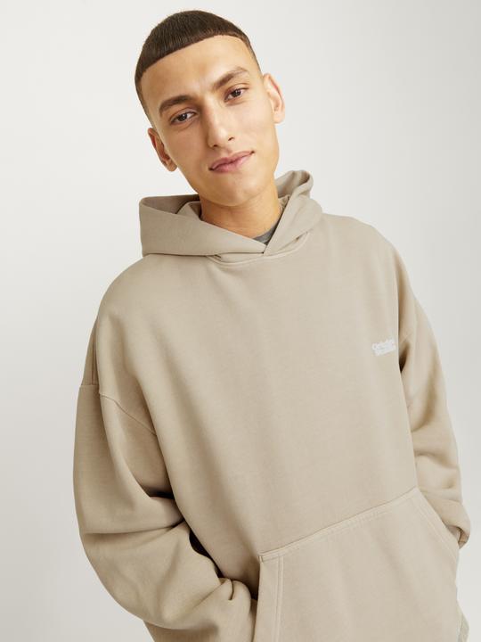 Image du produit Jack & Jones Sweat à capuche JORVERMONT (L)