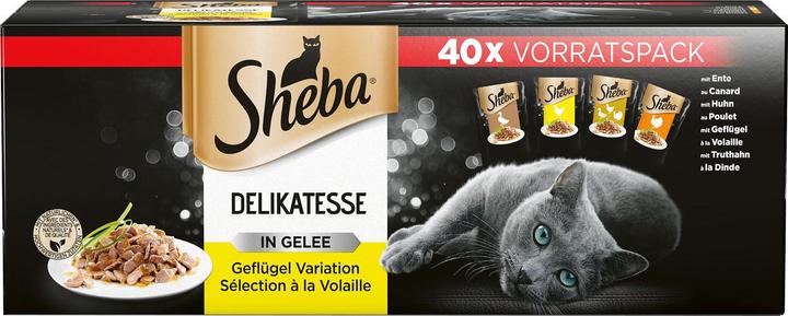 Sheba Delikatesse in Gelee