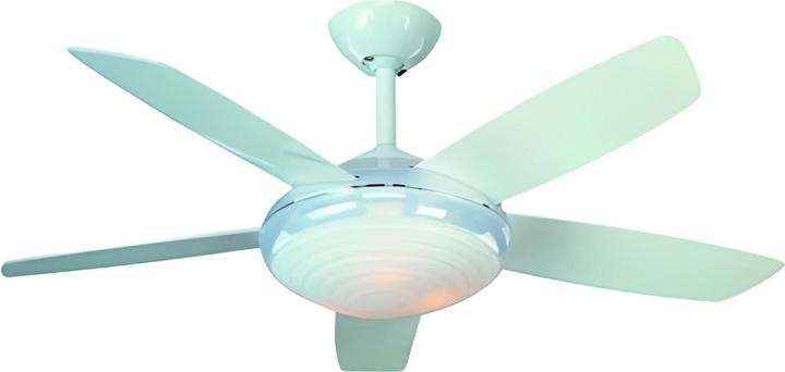 Actual product image Ceiling fan eMotion with light and remote control