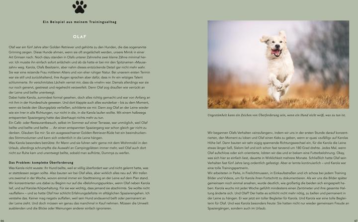 Valeurs nutritives et ingrédients Mein Herz schlägt Hund (Allemand, Katharina Marioth, 2024)