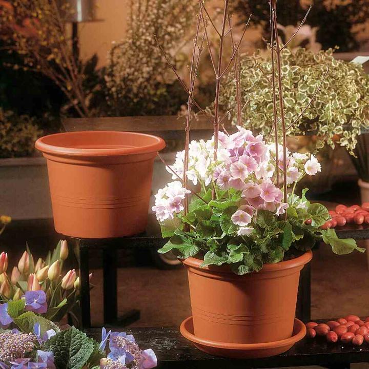 Actual product image Euro3plast Planter (70 cm)