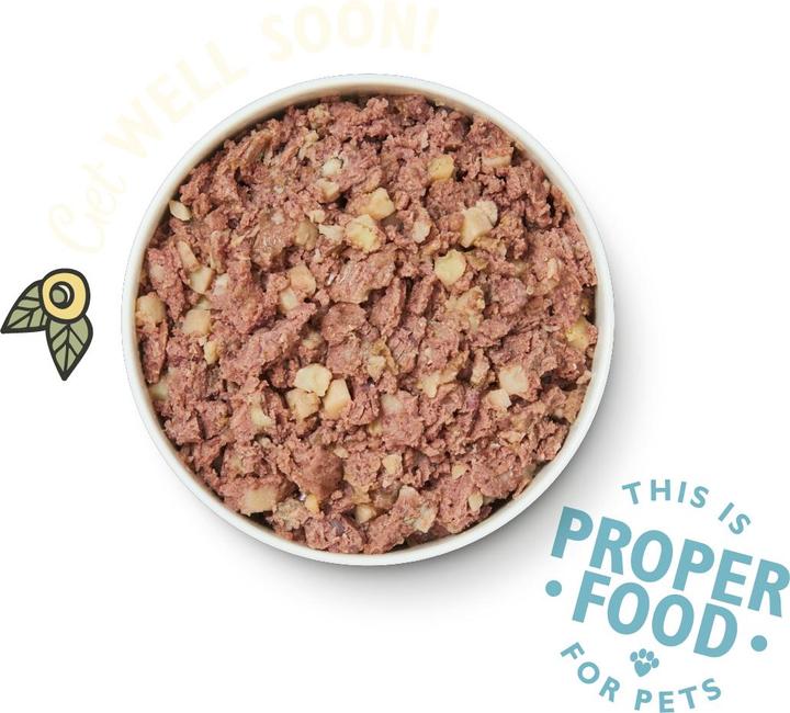 Actual product image Lily's Kitchen Recovery Recipe (Adult, 1 pcs., 400 g)