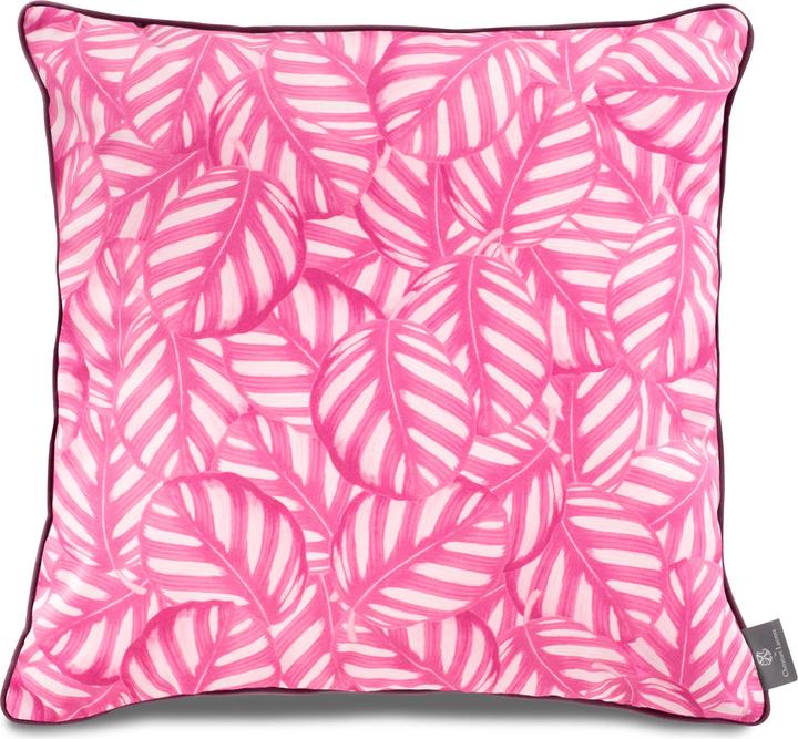 Roze