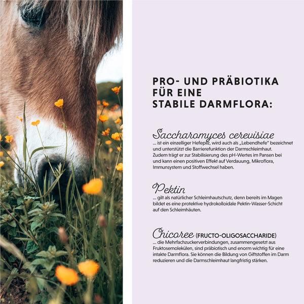 Immagine prodotto Annimally Polvere di Colon Vital (750 g)