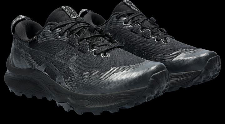 Image du produit ASICS Performance Gel Trabuco 12 GTX (42)