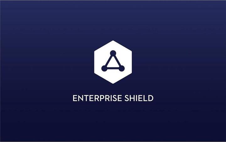 Produktbild DJI Phantom RTK Enterprise Shield Basic (DJI Phantom 4 RTK)