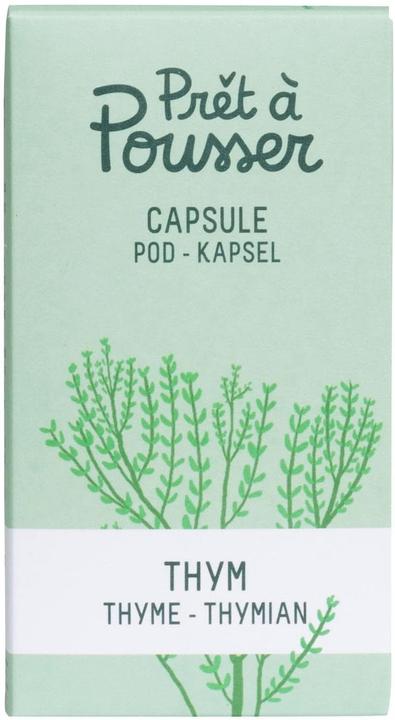 Prêt à Pousser Thymian (Kräutersamen)