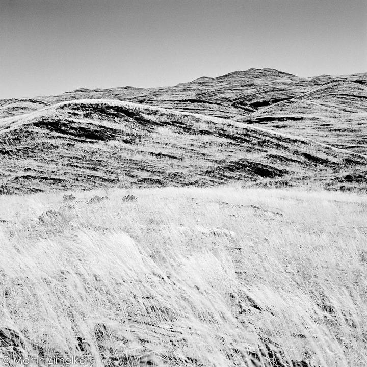 Actual product image Kodak Tri-X 400 Film 135/36