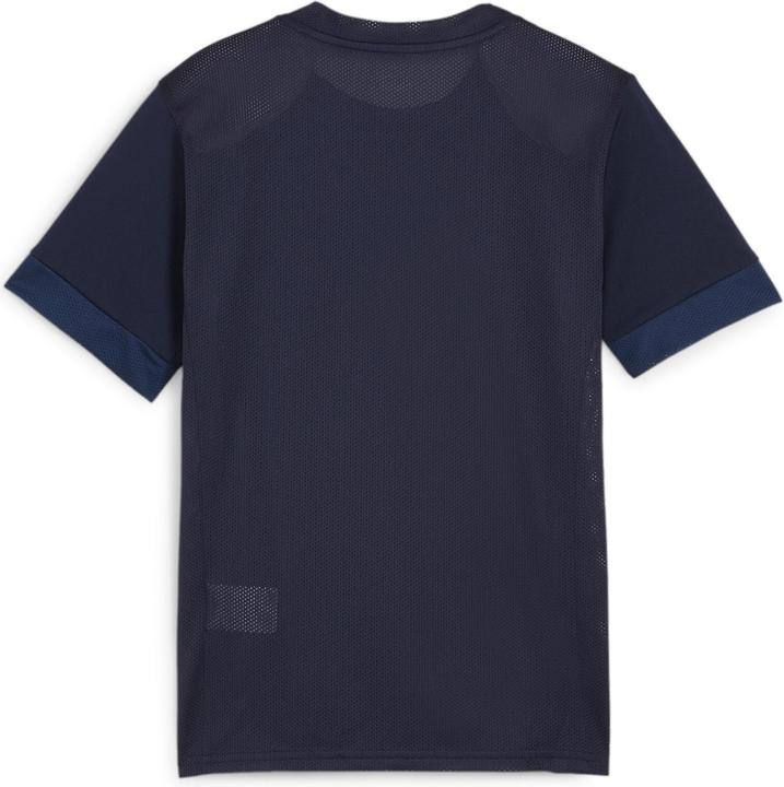 Actual product image Puma teamGOAL Matchday Jersey jr (S)