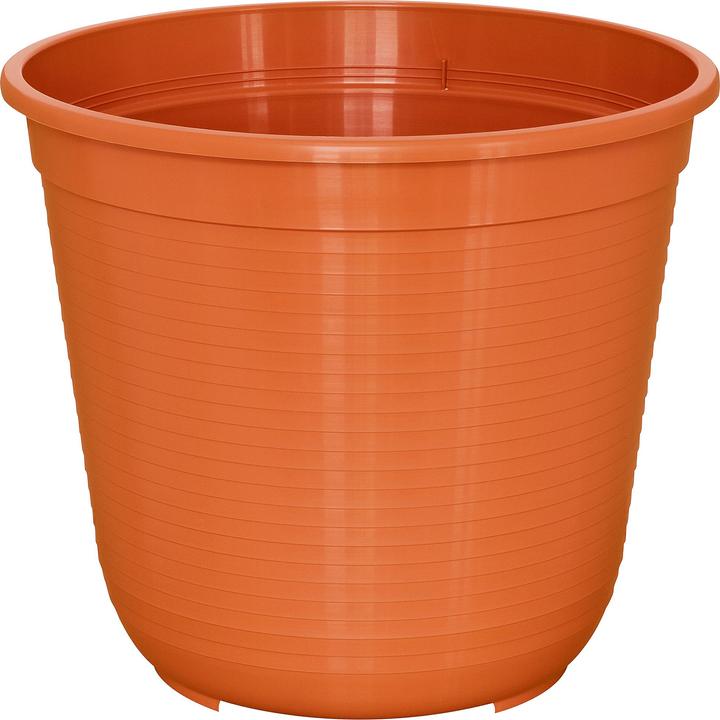 Actual product image Geli Standard (35 cm)