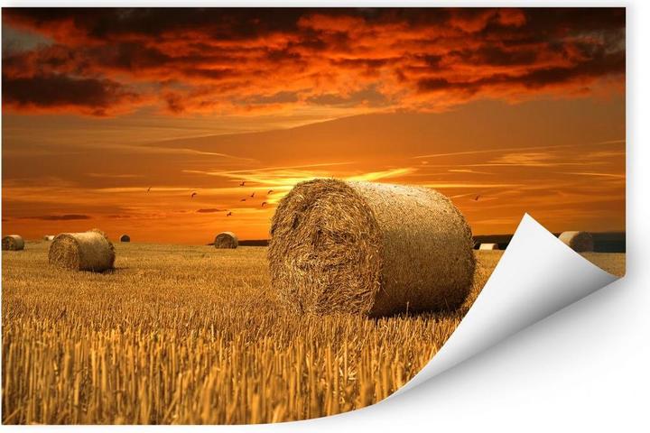 Actual product image Trenddeko Straw Bale (60 x 40 cm)