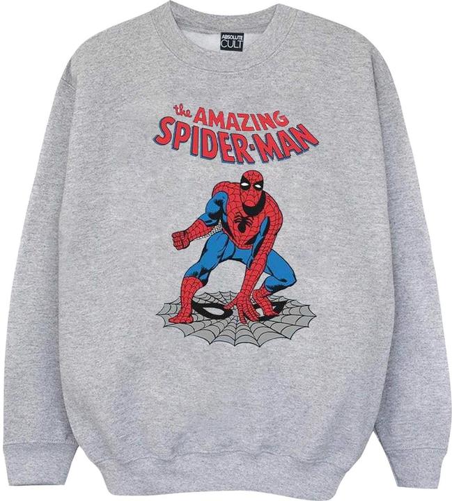 Actual product image Womens/Ladies The Amazing Spider-Man Sweatshirt (XXL)