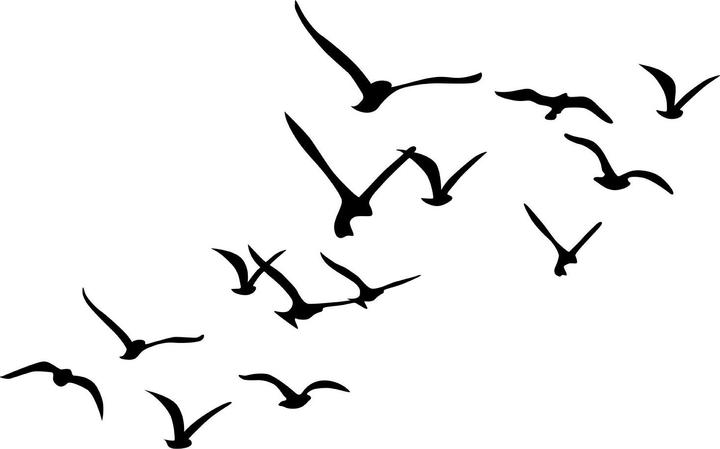 Wallxpert Migration