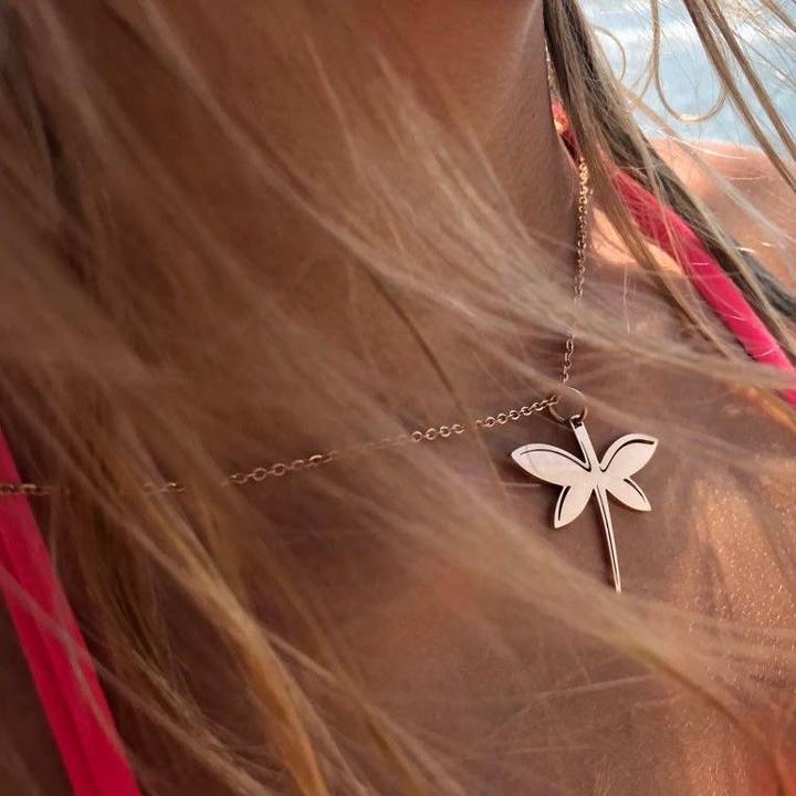 Actual product image Ailoria Dragonfly (Stainless steel)