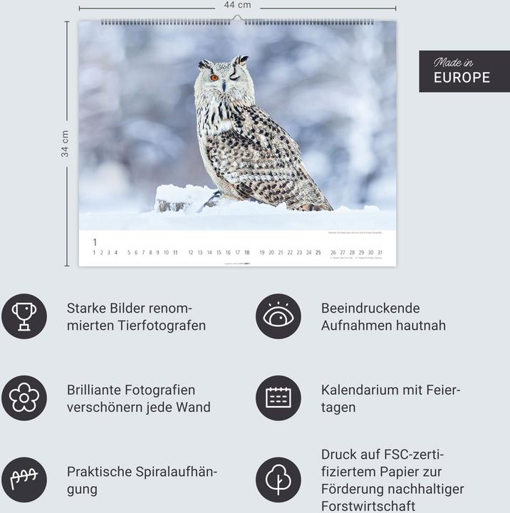 Actual product image Eulen Kalender 2026 (44 x 34 cm, Hardcover, German, English)