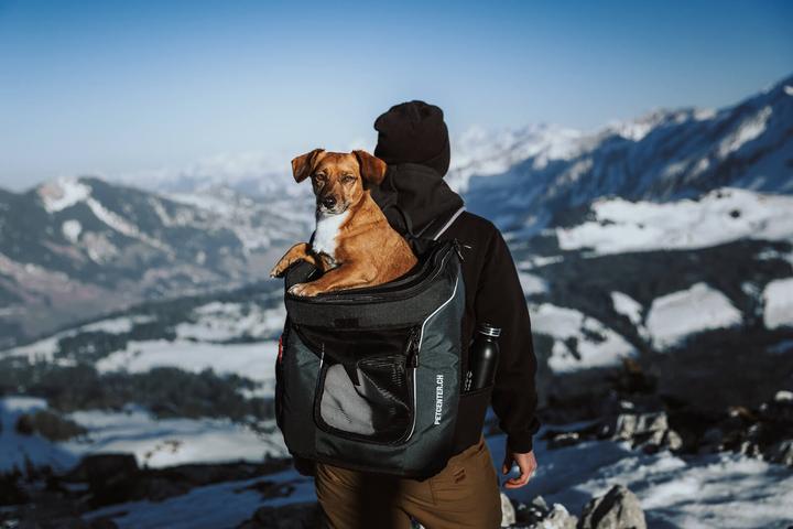 Actual product image Deuter Deuter-petcenter.ch Dog backpack (Dog, Breathable)